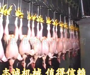 诸城志诚屠宰机械 高品质家禽屠宰设备的行业标杆